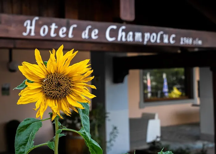 Hotel De Champoluc
